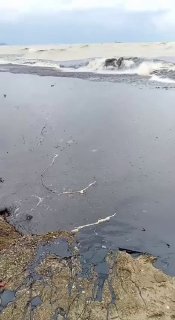 Ситуация в Туапсе: Мазут на пляже и нехватка спасателей