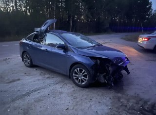 Водитель Форд врезался в дерево, спасая кошку на дороге