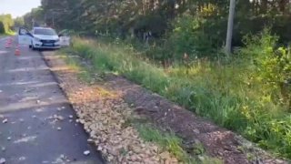 ДТП в Богородском районе: перевернулся автомобиль с девушкой за рулем