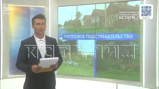 Подростки совершили преступление над девочкой в Лукояновском районе