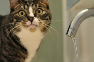 Отключение водоснабжения в Балахне: важная информация на 23 июля
