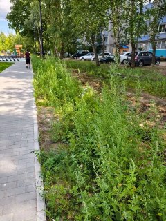 Общественное пространство «Зелёный остров» в Арзамасе остается опасным для посетителей