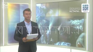 Жестокое преступление в деревне: подростки истязали пенсионерку из-за квартирного спора