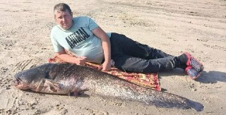 Рыбак из Нижнего Новгорода поймал гигантского сома весом 35 кг