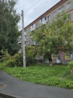 Аварийное дерево снова угрожает безопасности в Павлово