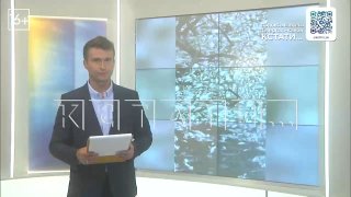 Массовая гибель рыбы в озере Кусторка вызвала подозрения у жителей Павловского района