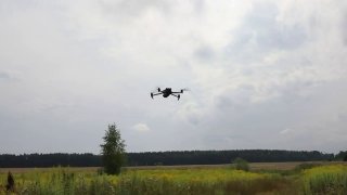 Полиция Борского района обнаружила угнанную машину с помощью дрона