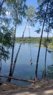 Парень пострадал от упавшего дерева в Павлово: подробности инцидента